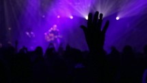 worshiping hands at a concert 