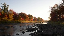 river's edge in fall 