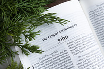 open Bible turned to John with greenery 