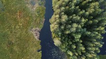 aerial view over a river and forest 