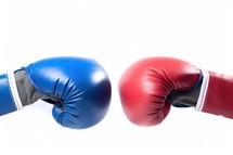 Blue and Red Boxing Gloves