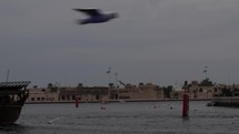 Seagulls and birds flying in cinematic slow motion over Old Dubai river.