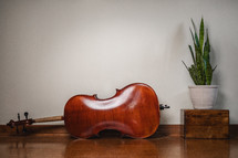 Cello instrument next to plant in bedroom