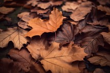 Brown Fall Leaves Background