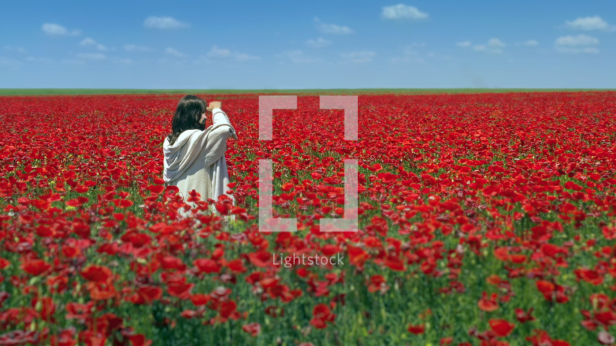 Jesus walking in a beautiful poppy field.
