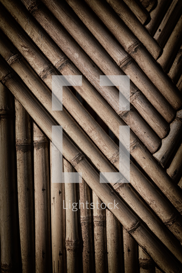 bamboo wall background 