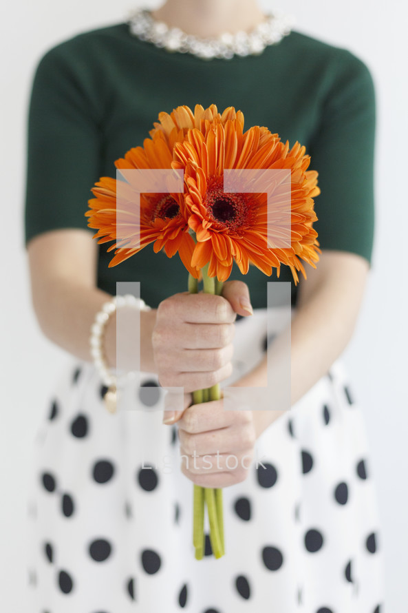 a woman holding gerber daisies 