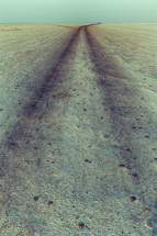 tire tracks in desert salt 