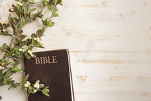 branches with white berries and Bible 