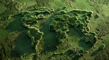 Green Moss Defining The Shape Of Continents