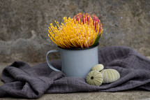 sea urchins and flowers in a mug 
