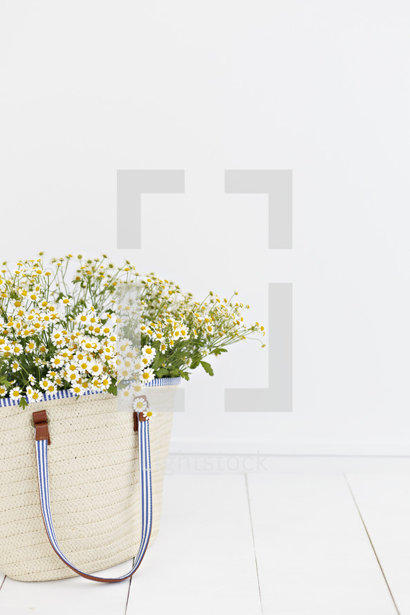 white daisies in a bag