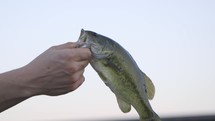 man holding a fish 