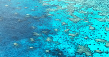 coral reefs 