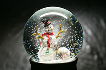 a snowman in a snow globe 