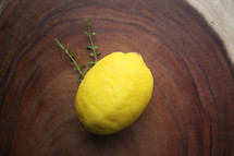 lemon and lemon thyme 