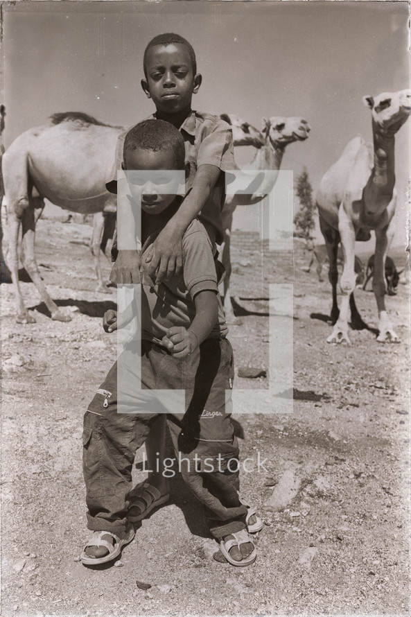 little boy standing with camels 