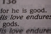 love endures 