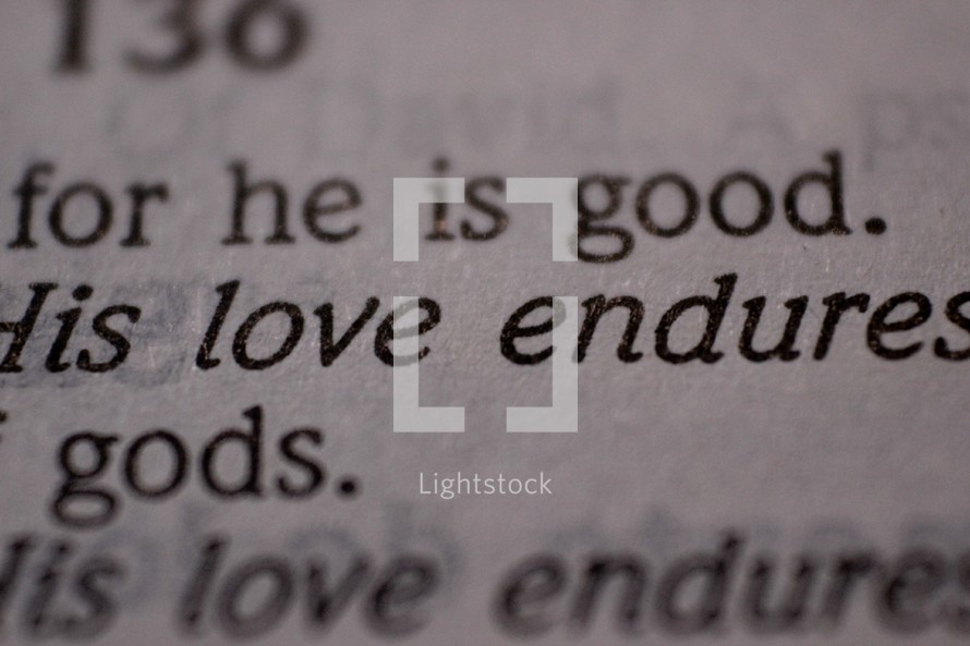 love endures 