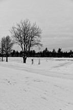 snowy scene in Rovaniemi 