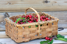 basket of cherries 