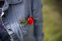 red poppy in a shirt pocket 