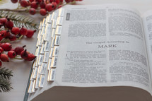 Catholic Bible opened to Mark at Christmas 