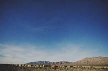 man standing alone in a desert 