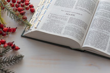 A Catholic Bible opened to Mark at Christmas 