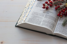 Catholic Bible opened to Mark on a white background at Christmas 