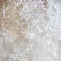 macro snowflakes 