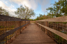 Wooden bridge over marsh at park
