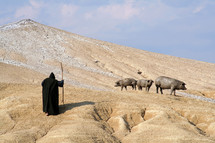 Man in a black cloak with three pigs in the desert.
