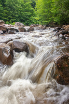 Water rushing over rocks along river rapids in forest