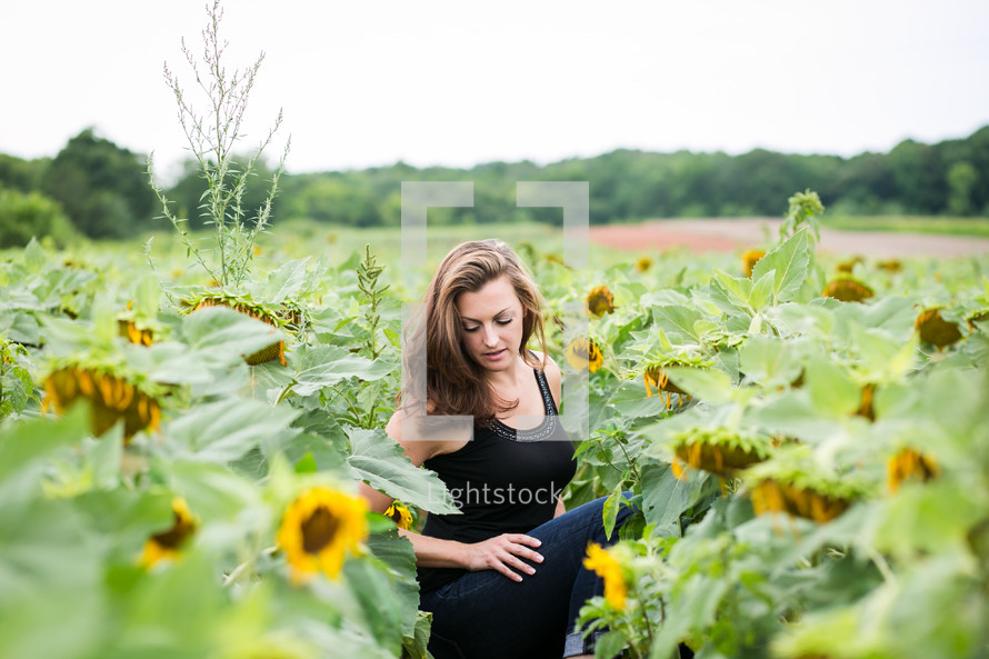 woman in a field of sunflowers 
