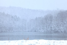 winter lake shore 