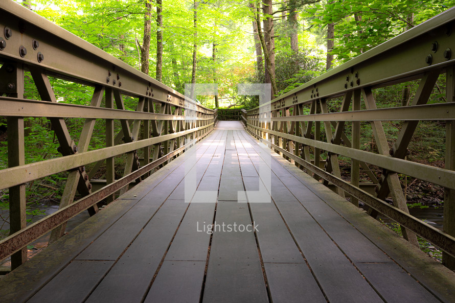 Metal footbridge with railings through the woods