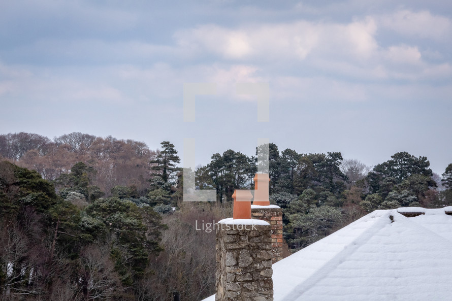 Snow on a Rooftop Overlooking a Winter Woodland