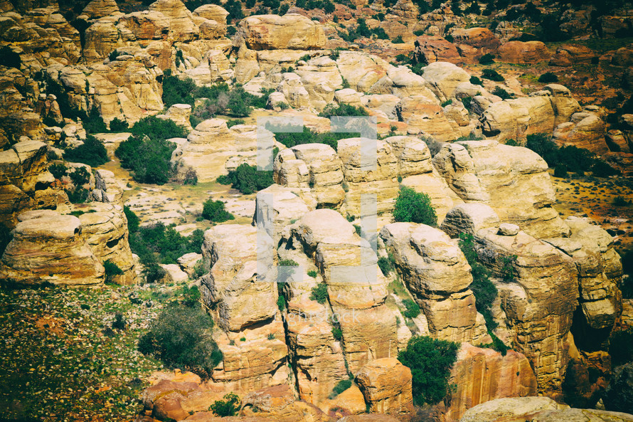 rocky landscape of Wildlife National Reserve 