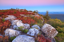 Red autumn leaves and brush among boulder rocks at edge of mountain in Dolly Sods Wilderness at sunset