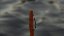 fishing lure 