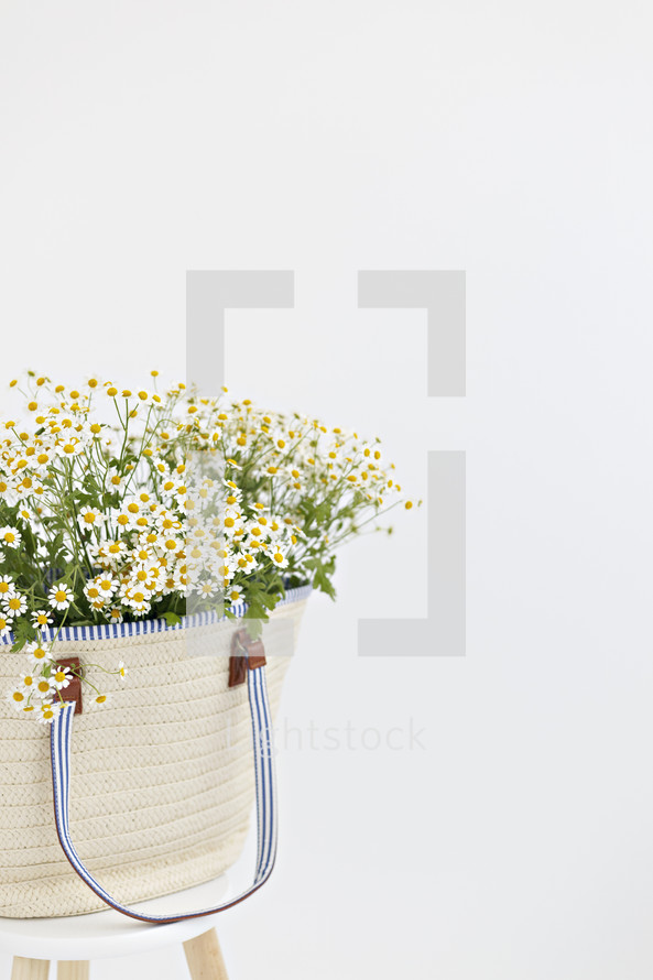 white daisies in a bag 