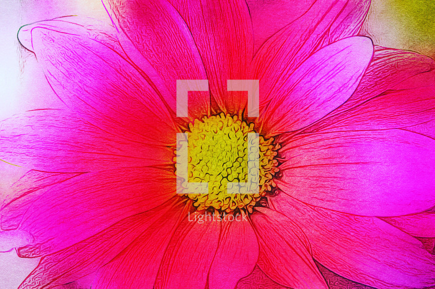 bold pink daisy closeup with art filter applied