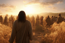 Jesus walking with the disciples through the wheat harvest towards the sunset 
