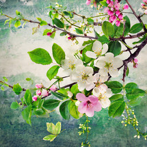  flowering tree branch closeup - mixed media style spring floral artwork