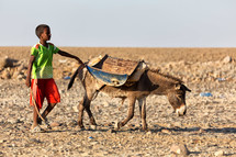 a boy in Ethiopia walking with a donkey 