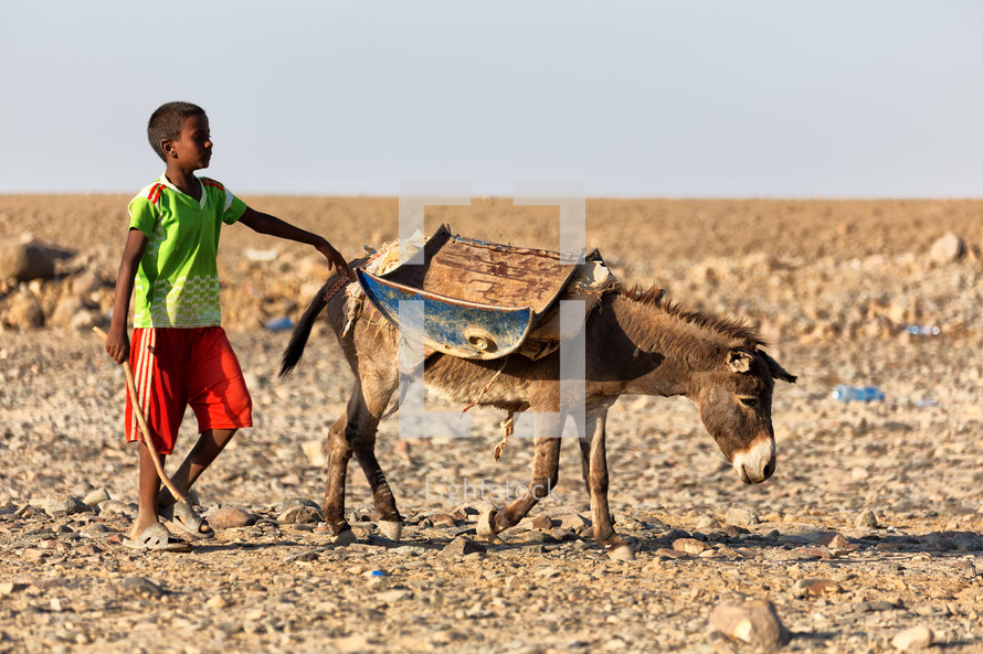 a boy in Ethiopia walking with a donkey 