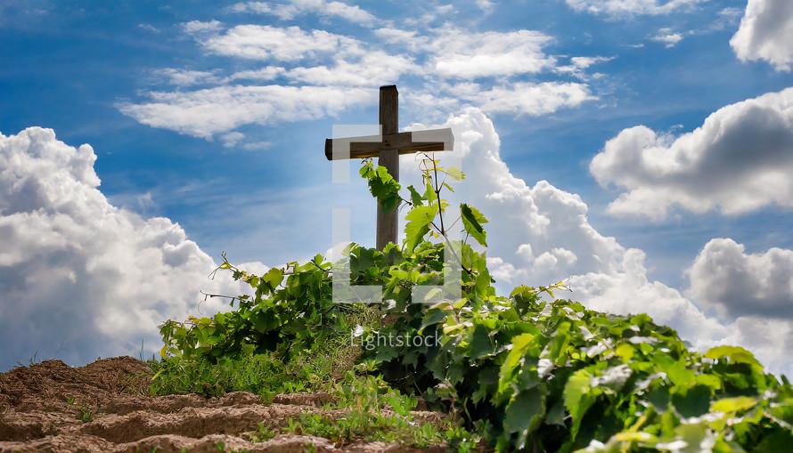 Cross with Vines on a Hill with a Cloudy Sky