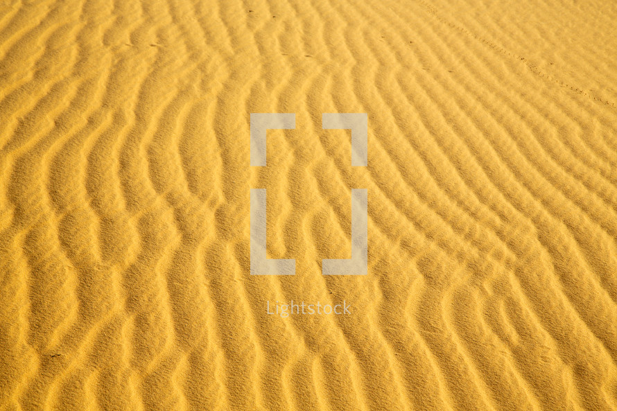 ripples in golden sand 