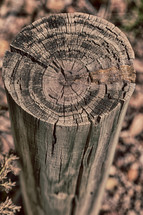 wood post 